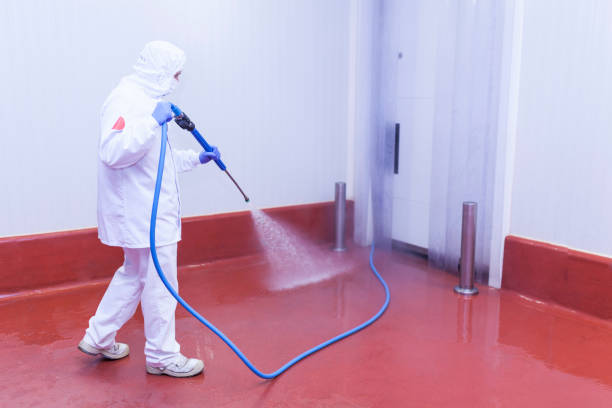 Holliday, TX Pressure Washing Company