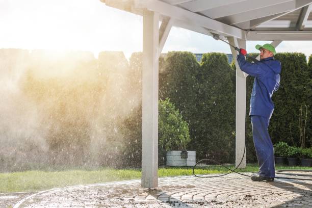Best Soft Washing  in Holliday, TX
