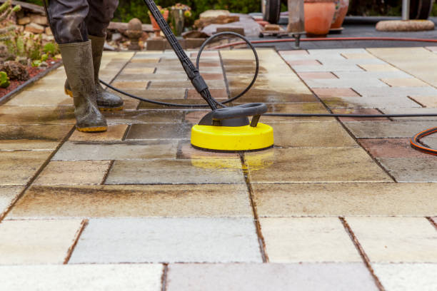 Best Animal Enclosure Cleaning  in Holliday, TX